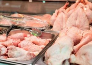 قیمت مرغ در اردبیل کاهش می‌یابد