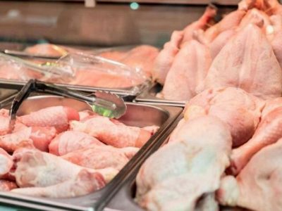 قیمت مرغ در اردبیل کاهش می‌یابد