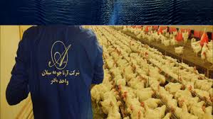 آرتاجوجه بزرگترین واحد مرغ مادرگوشتی خاورمیانه در اردبیل ر احداث می کند