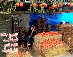 جشنواره انار روستای نهمیل خلخال جمعه برگزار می شود