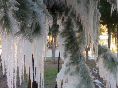 اردبیل 20 درجه زیر صفر را تجربه می کند