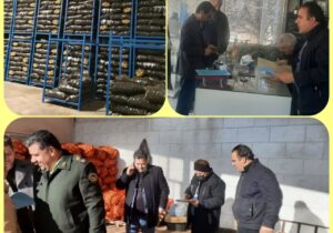 بازدید مشترک تعزیرات حکومتی از انبارهای سیب زمینی