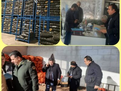 بازدید مشترک تعزیرات حکومتی از انبارهای سیب زمینی