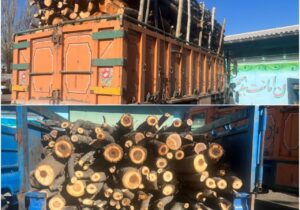 توقیف ۸ تن هیزم جنگلی قاچاق در اردبیل