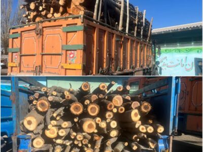 توقیف ۸ تن هیزم جنگلی قاچاق در اردبیل