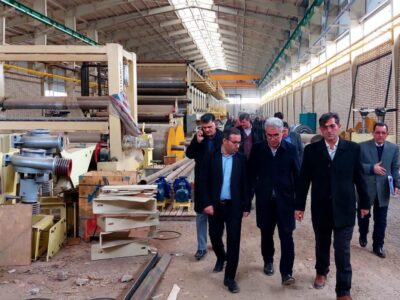 بازدید مدیر صمت استان اردبیل از واحدهای صنعتی مشکین‌شهر