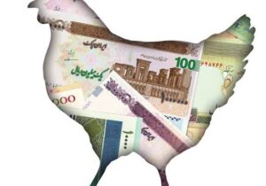 قیمت مصوب مرغ ۱۳۷۵۰۰، عرضه ۱۶۵هزار تمن!