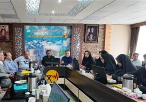مدیرعامل توزیع برق استان اردبیل: پاداش مناسب به گزارش فعالیت ماینر و تخلفات مصرف برق/ در هفته دولت600 میلیارد تومان پروژه افتتاح خواهد شد